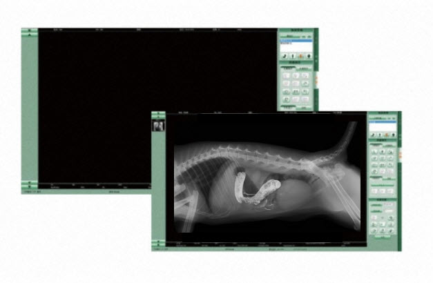 Spezialangebot DR Upgrade für Humanmediziner und Veterinäre Digitale Flachbilddetektore DR Detektor Nachrüstung digitales Röntgen reibungsloser Wechsel auf ein digitales Röntgensystem