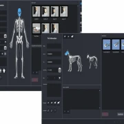 Angebot: DR-Upgrade & digitale Röntgen-Nachrüstung für Human- und Veterinärmedizin