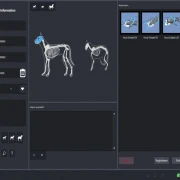 Angebot: DR-Upgrade & digitale Röntgen-Nachrüstung für Human- und Veterinärmedizin