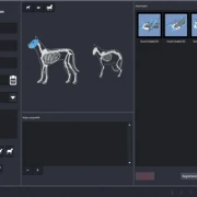 DR Upgrade digitales Röntgen – DR Retrofit Nachrüstung für Human- und Veterinärmedizin zur Digitalisierung bestehender Röntgenanlagen