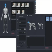 DR Upgrade digitales Röntgen – DR Retrofit Nachrüstung für Human- und Veterinärmedizin zur Digitalisierung bestehender Röntgenanlagen