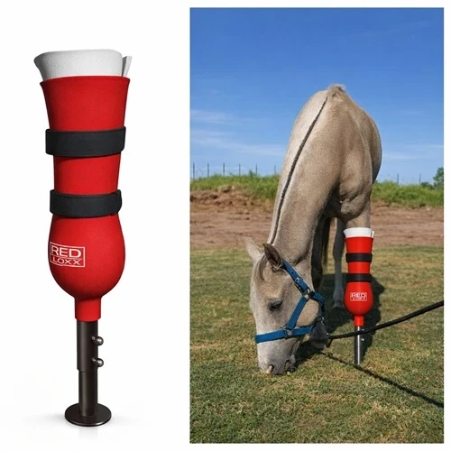 Equine Limb Prosthetics RED 13ELP – Individuelle Pferdeprothesen für Vorder- und Hintergliedmaßen in der Veterinärmedizin