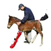 Redboot Boots und Prothesen 
