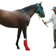Redboot Boots und Prothesen 